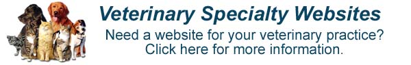 Veterinary Specialty website design